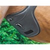 Apollo Air Anatomic Stud Girth image #