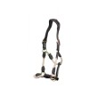 Anatomic Leather Headcollar image #