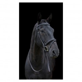 Cameo Equine Classic Bridle with Reins