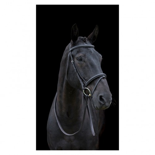 Cameo Equine Classic Bridle with Reins image #