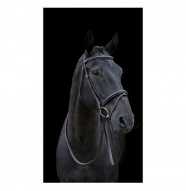 Cameo Equine Classic Bridle with Reins