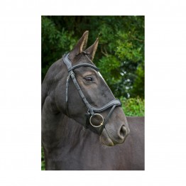 EcoRider Ecosoft Enigma Bridle