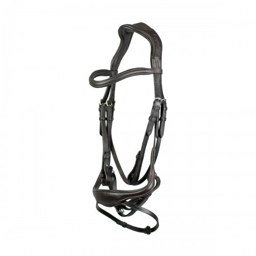 EcoRider Ecosoft Enigma Bridle image #