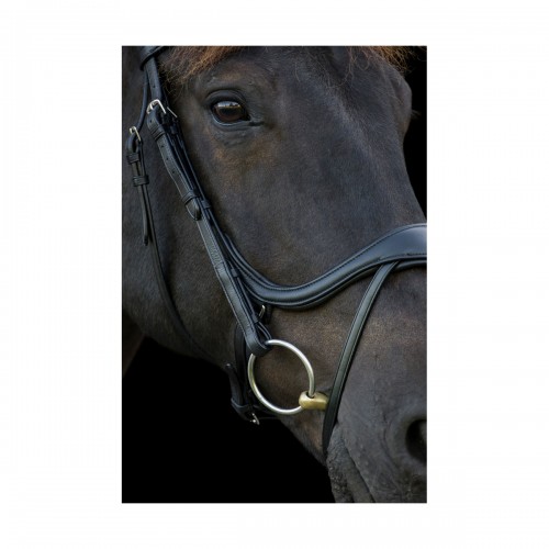 EcoRider Ecosoft Enigma Bridle image #