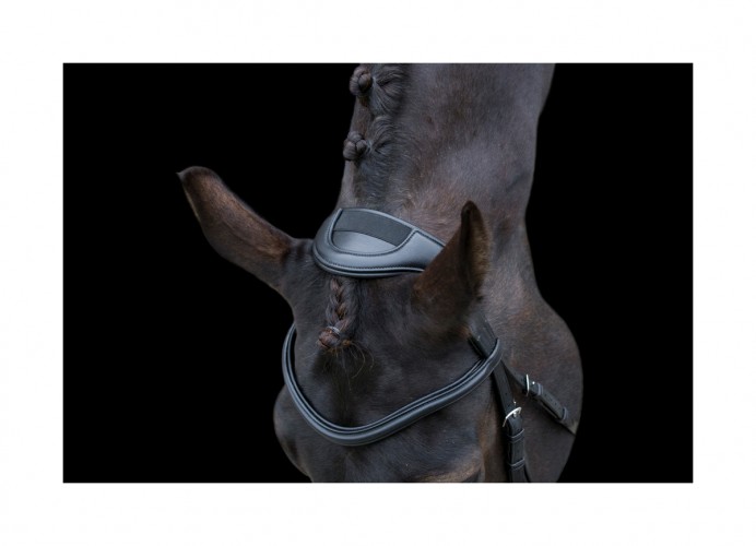 EcoRider Ecosoft Enigma Bridle image #