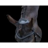 EcoRider Ecosoft Enigma Bridle image #