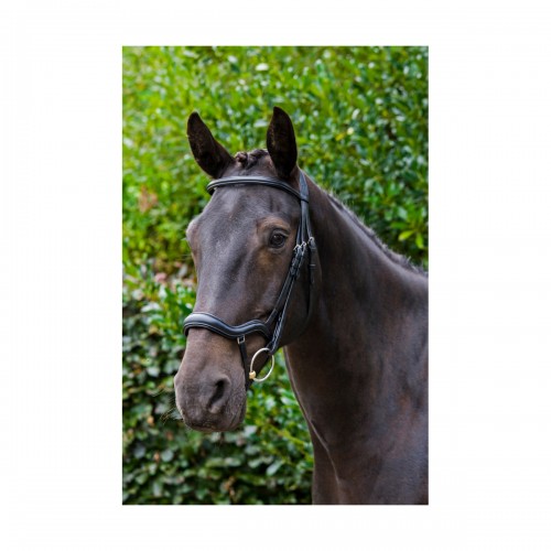 EcoRider Ecosoft Finesse Bridle image #