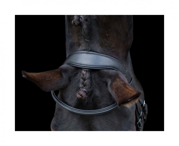 EcoRider Ecosoft Finesse Bridle image #