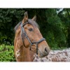 EcoRider Ecosoft Finesse Bridle image #