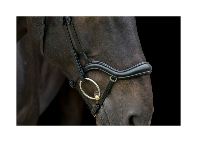 EcoRider Ecosoft Finesse Bridle image #