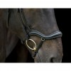 EcoRider Ecosoft Finesse Bridle image #