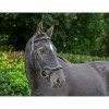 EcoRider Ecosoft Finesse Bridle image #