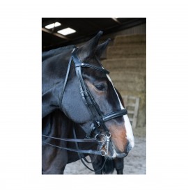 Eco Rider Freedom Double Bridle