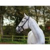 Eco Rider Freedom Jump Bridle image #