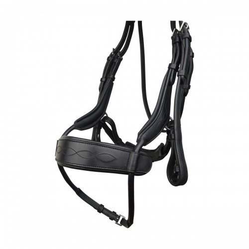 Eco Rider Freedom Jump Bridle image #