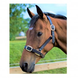 Cameo Leather Headcollar