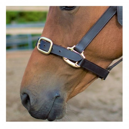 Cameo Leather Headcollar image #