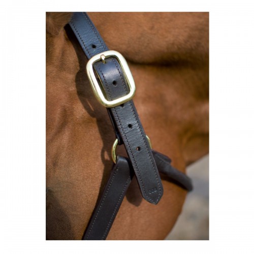 Cameo Leather Headcollar image #