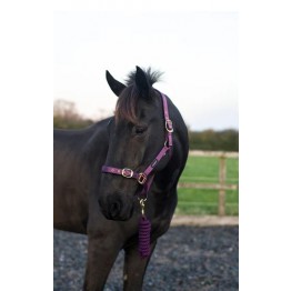 Cameo Supreme Headcollar & Leadrope