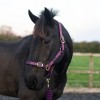 Cameo Supreme Headcollar & Leadrope image #