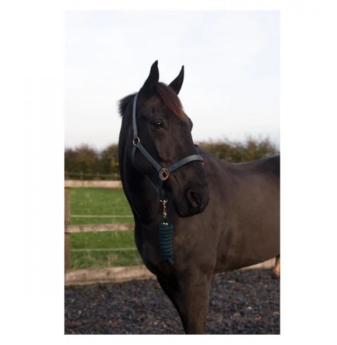 Cameo Supreme Headcollar & Leadrope image #