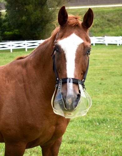 ThinLine Grazing Muzzle image #