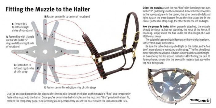 ThinLine Grazing Muzzle image #